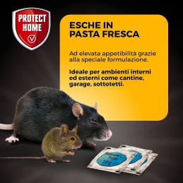 Acquista RODICUM CT pasta topicida x 720 gr con riferimento 86600801 della ditta SBM life science
