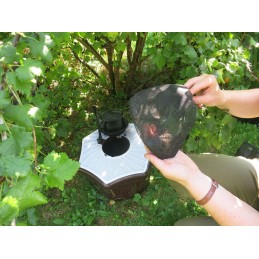 Acquista Biogents Mosquitaire Outdoor tiger mosquito trap con riferimento 86601355 della ditta Biogents